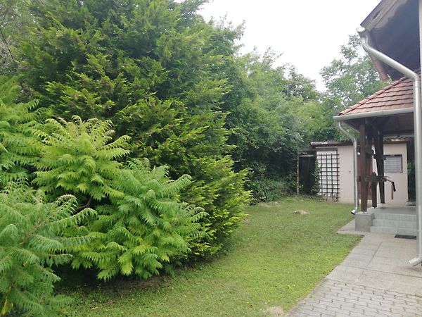 Eladó ház Balatonalmádi 19. kép