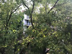 Kiadó lakás Budapest, II. kerület, Rózsadomb 3. kép