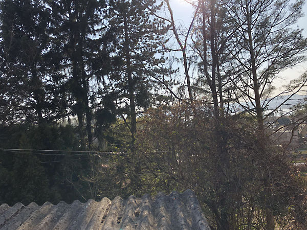 Eladó nyaraló Balatonfűzfő, Fűzfőfürdő 14. kép