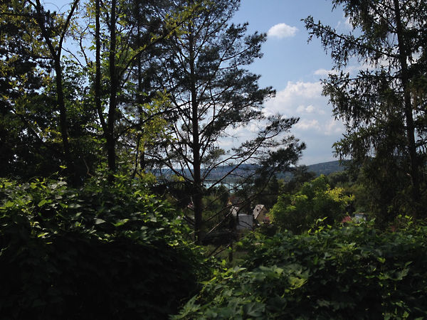 Eladó nyaraló Balatonfűzfő, Fűzfőfürdő 17. kép