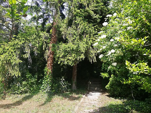 Eladó nyaraló Balatonfűzfő, Fűzfőfürdő 8. kép