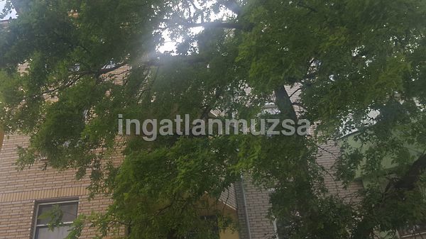 Eladó lakás Kecskemét, Belváros 1. kép