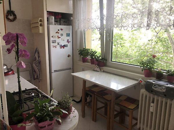 Eladó lakás Székesfehérvár, Tóváros 5. kép
