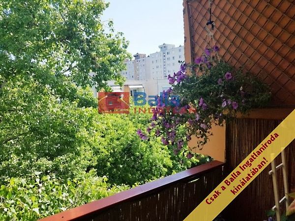 Eladó lakás Budapest, XIX. kerület 9. kép