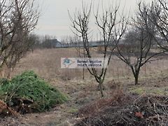 Eladó földterület Onga 2. kép