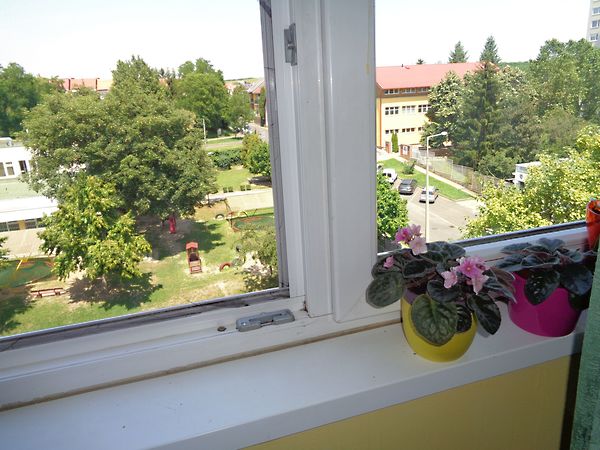 Eladó lakás Miskolc, Belváros 12. kép