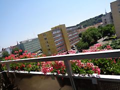 Eladó lakás Miskolc, Belváros 2. kép