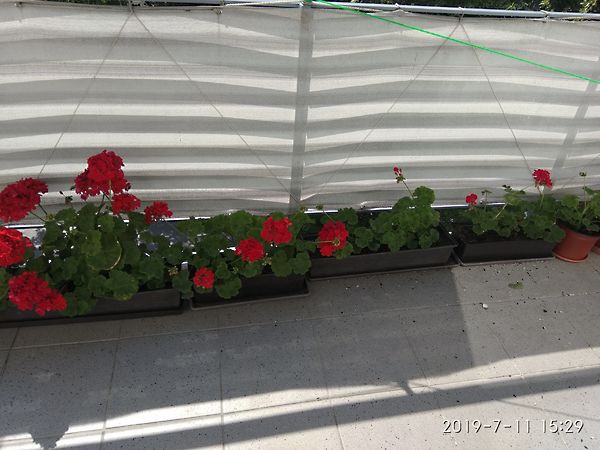 Eladó lakás Veszprém, Bakonyalja 10. kép