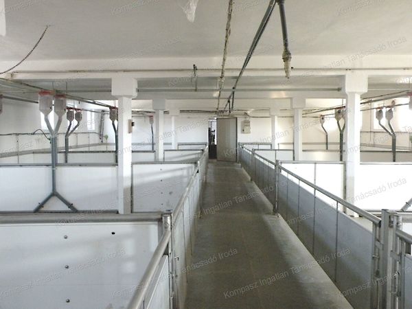 Eladó földterület Kaposvár 12. kép