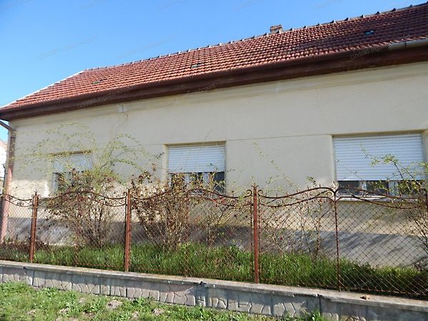 Eladó ház Domony 1. kép