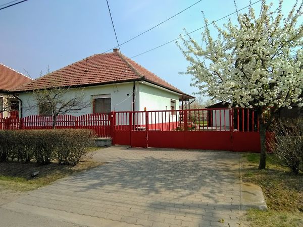 Eladó ház Dány 1. kép