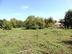 Eladó ház Szeged, Újszeged 4. kép