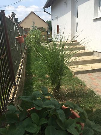 Eladó ház Debrecen, Biharikert 4. kép