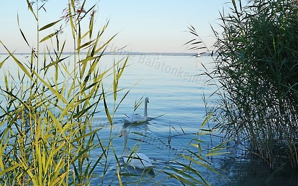 Eladó nyaraló Balatonkenese, Üdülőtelep 1. kép