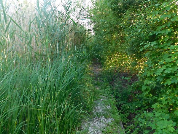 Eladó nyaraló Balatonkenese, Üdülőtelep 23. kép