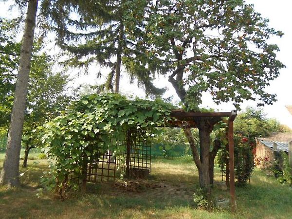 Eladó ház Szombathely 2. kép