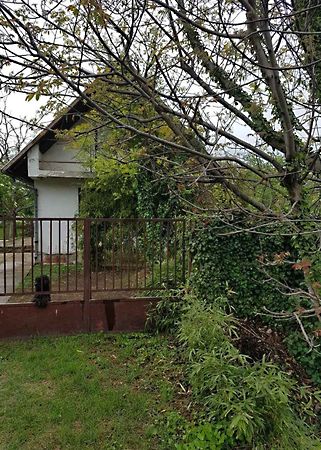Eladó ház Debrecen, Alsójózsa 1. kép