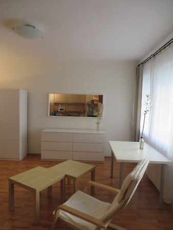 Kiadó lakás Budapest, VI. kerület 7. kép