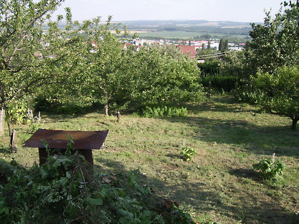 Eladó ház Pécs, Patacs 8. kép
