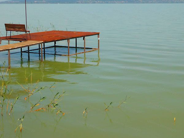 Eladó ház Balatonmáriafürdő 11. kép