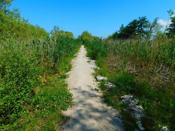 Eladó ház Balatonmáriafürdő 21. kép