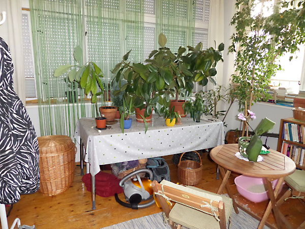 Eladó lakás Szeged, Újszeged 10. kép