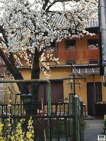 Eladó ház Miskolc 1. kép