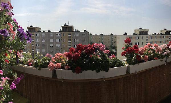 Eladó lakás Budapest, XIX. kerület 22. kép