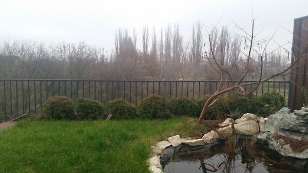 Eladó lakás Budapest, XIV. kerület 6. kép