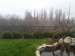 Eladó lakás Budapest, XIV. kerület 6. kép