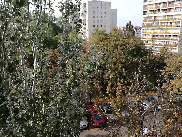 Eladó lakás Debrecen, Libakert 5. kép