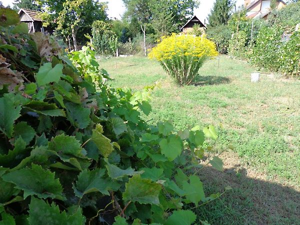 Eladó ház Debrecen, Csapókert 10. kép