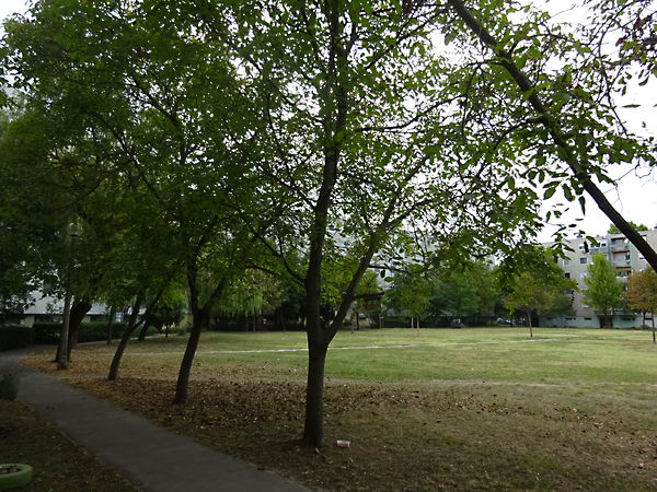 Eladó lakás Szeged, Makkosház 2. kép