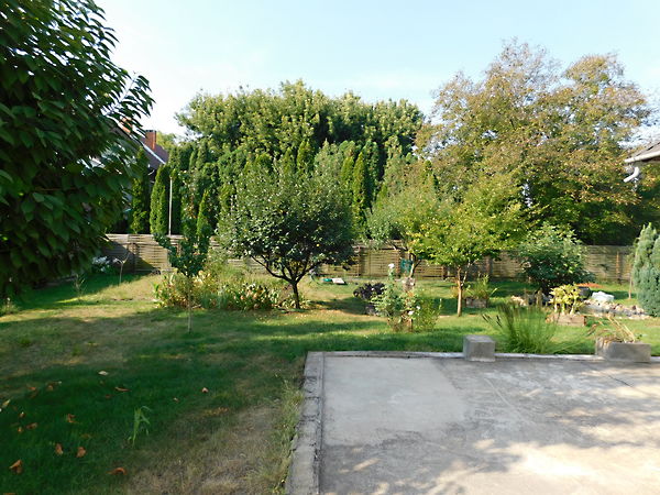 Eladó ház Szeged, Szeged-Szentmihály 5. kép