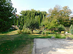 Eladó ház Szeged, Szeged-Szentmihály 5. kép