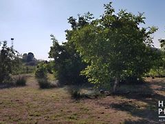 Eladó földterület Domaszék 2. kép