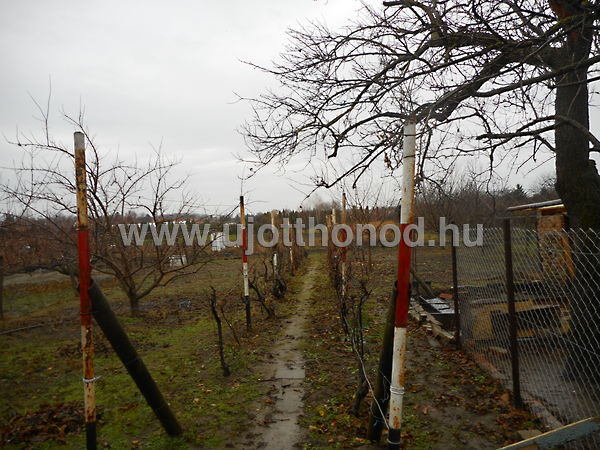 Eladó ház Szeged, Szőreg 9. kép