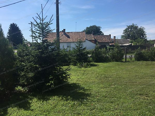 Eladó ház Mezőcsokonya 48. kép