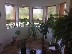 Eladó ház Mezőcsokonya 5. kép