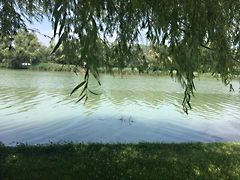 Eladó ház Budapest, XXIII. kerület, Soroksár 2. kép