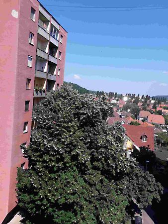 Eladó lakás Miskolc, Bulgárföld 1. kép
