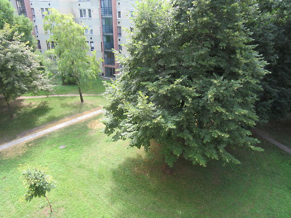 Kiadó lakás Debrecen, Libakert 10. kép