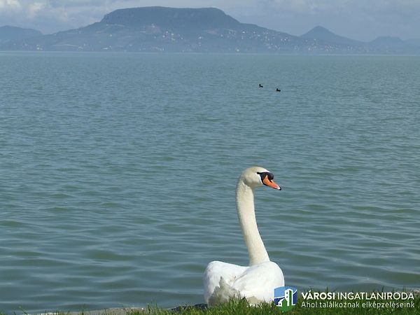 Eladó lakás Badacsonytomaj 16. kép