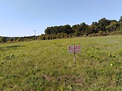 Eladó földterület Kővágóörs 3. kép