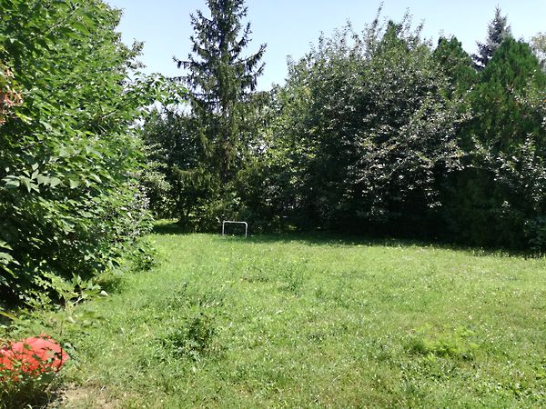 Kiadó ház Szeged, Újszeged 5. kép