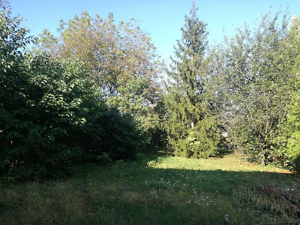 Kiadó ház Szeged, Újszeged 25. kép