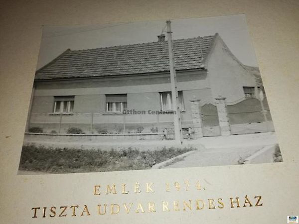 Eladó ház Domony 1. kép