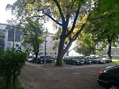 Eladó lakás Debrecen, Egyetemek 6. kép