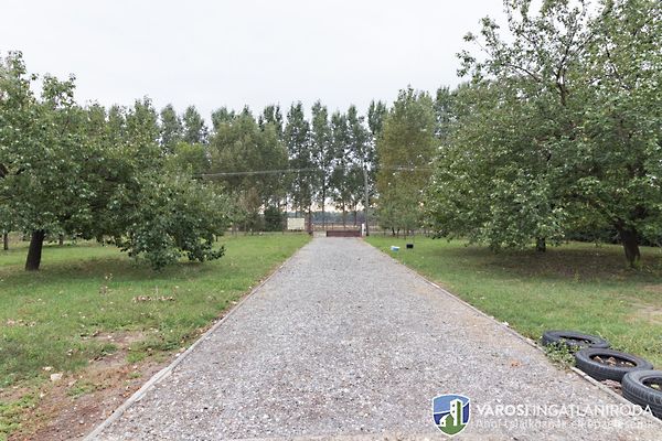 Eladó ház Algyő 17. kép