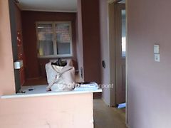 Eladó lakás Baja 6. kép